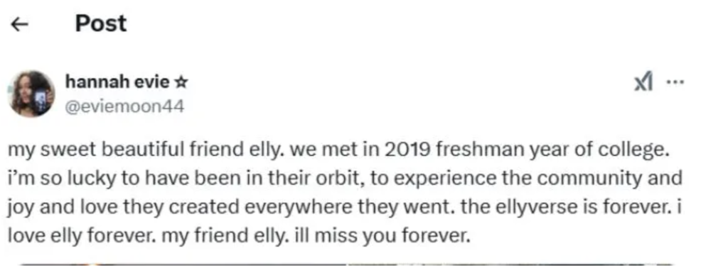 Elly-Colon-Young-New-Yorker-1024x378 Elly Colon, Young New Yorker Dead; Obituary, Cause Of Death